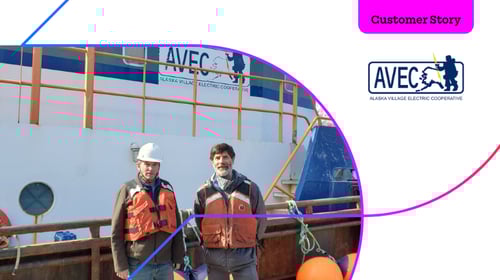 Alaska Village Electric Cooperative