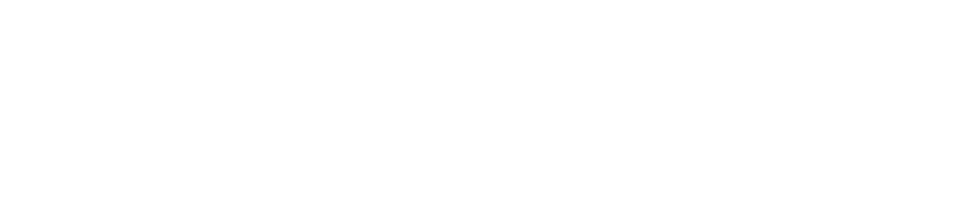 Bottomline_logo